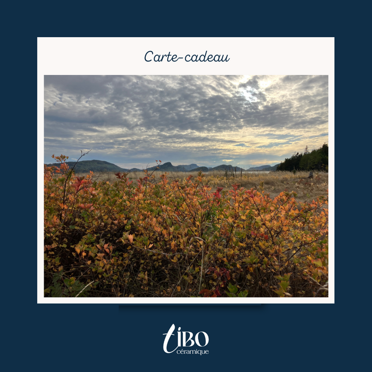 Cartes-cadeaux